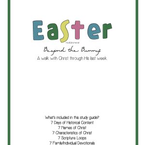 Beyond the Bunny!